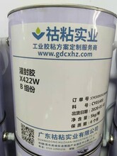 汽车尾翼升降门聚氨酯灌封胶DX422W