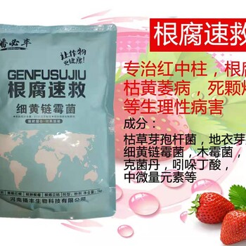 根腐速救——根腐克星
