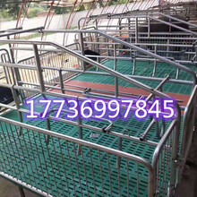 福建漳州复合母猪双体产床产保两用猪床价格