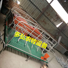 广东河源母猪产床价格母猪产床详细尺寸图复合母猪双体床