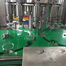 珠海易拉罐灌装机销售图片