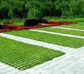 黄浦区园林绿化养护服务价格