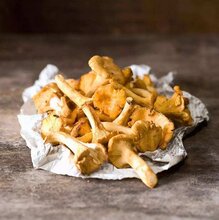 怀化鸡油菌招代理图片