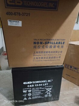 大力神蓄电池C&D12-54LBT上海西恩迪12V54AH直流屏UPS免维护电