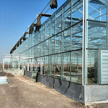 玻璃大棚建设，玻璃连栋温室，智能玻璃温室建设