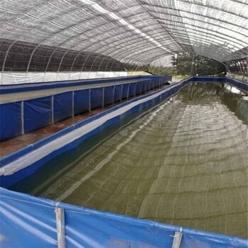 广西省户外大型高密度水产养殖帆布鱼池篷布网箱支架厂家定制尺寸