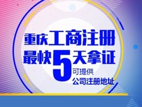 重庆巴南区营业执照审核的流程和资料图片3