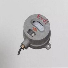DYB-100,DYB-150,DYB-200,DYB-700矿用隔爆型电压表图片