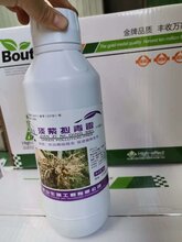 淡紫拟青霉的主要作用图片
