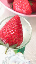 青岛法兰地草莓苗零售