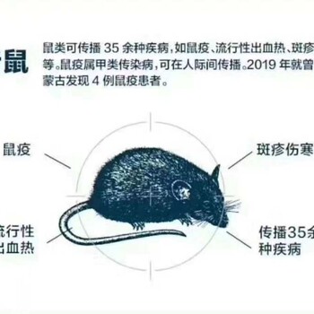 宜宾伊泽公司承接灭鼠除害消杀四害白蚁防治等环保项目工作