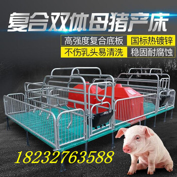 定做母猪产床复合双体母猪床育肥猪保育床限位栏