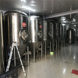 日产2吨5吨10吨精酿啤酒厂服务图片5
