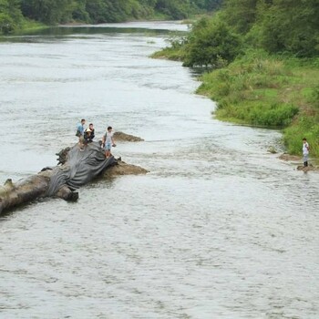 黄浦、各类古钱币私人当天交易收购（袁大头私下现金收购