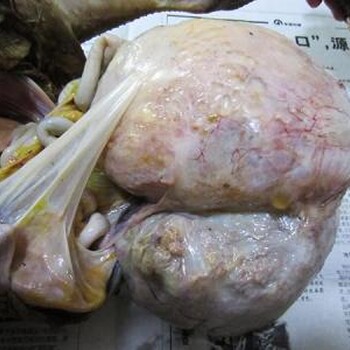 西安?個(gè)人正規(guī)、收購(gòu)（各類古錢幣）現(xiàn)金上門收購(gòu)古錢幣電話