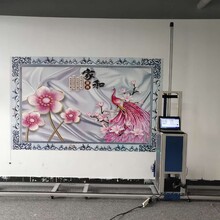深圳市江榕3d墙体彩绘机室内背景墙打印