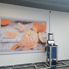 江榕彩业农村致富小机器创业型3D墙体彩绘机喷绘机背景墙体喷画机