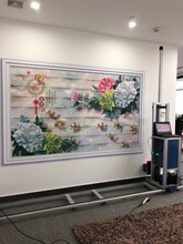 东莞市江榕彩业四喷头3d墙体彩绘机喷绘机壁画打印设备