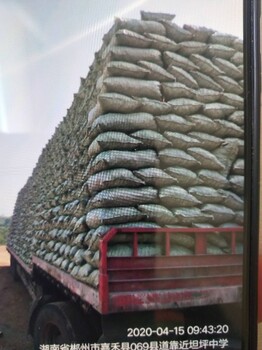 重庆大渡口陶粒厂家高强度陶粒回填陶粒、建筑陶粒