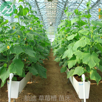 草莓立体种植架立体种植槽西红柿架有什么优势