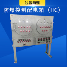 飞骏-200A总开配电箱BXD(M)防爆动力箱