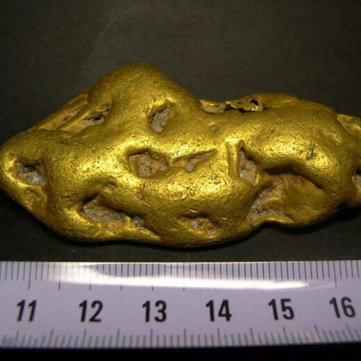 狗頭金一般拍賣價格