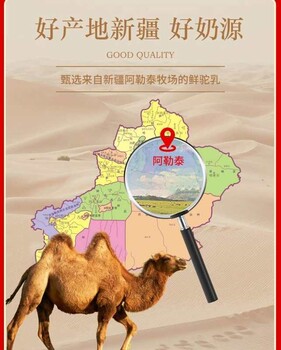 駝奶粉工廠代加工新疆天然駝奶滴滴香純