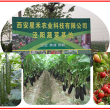 西安市场上送蔬菜的电话图片