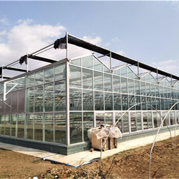 建设定制玻璃智能温室智能连栋温室育苗智能温室