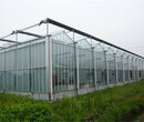 农业大棚玻璃智能温室智能连栋大棚造价蔬菜育苗温室图片