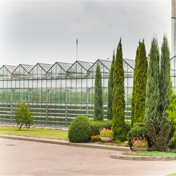 智能連棟溫室建設(shè)溫室大棚養(yǎng)殖型種植型智能大棚設(shè)計
