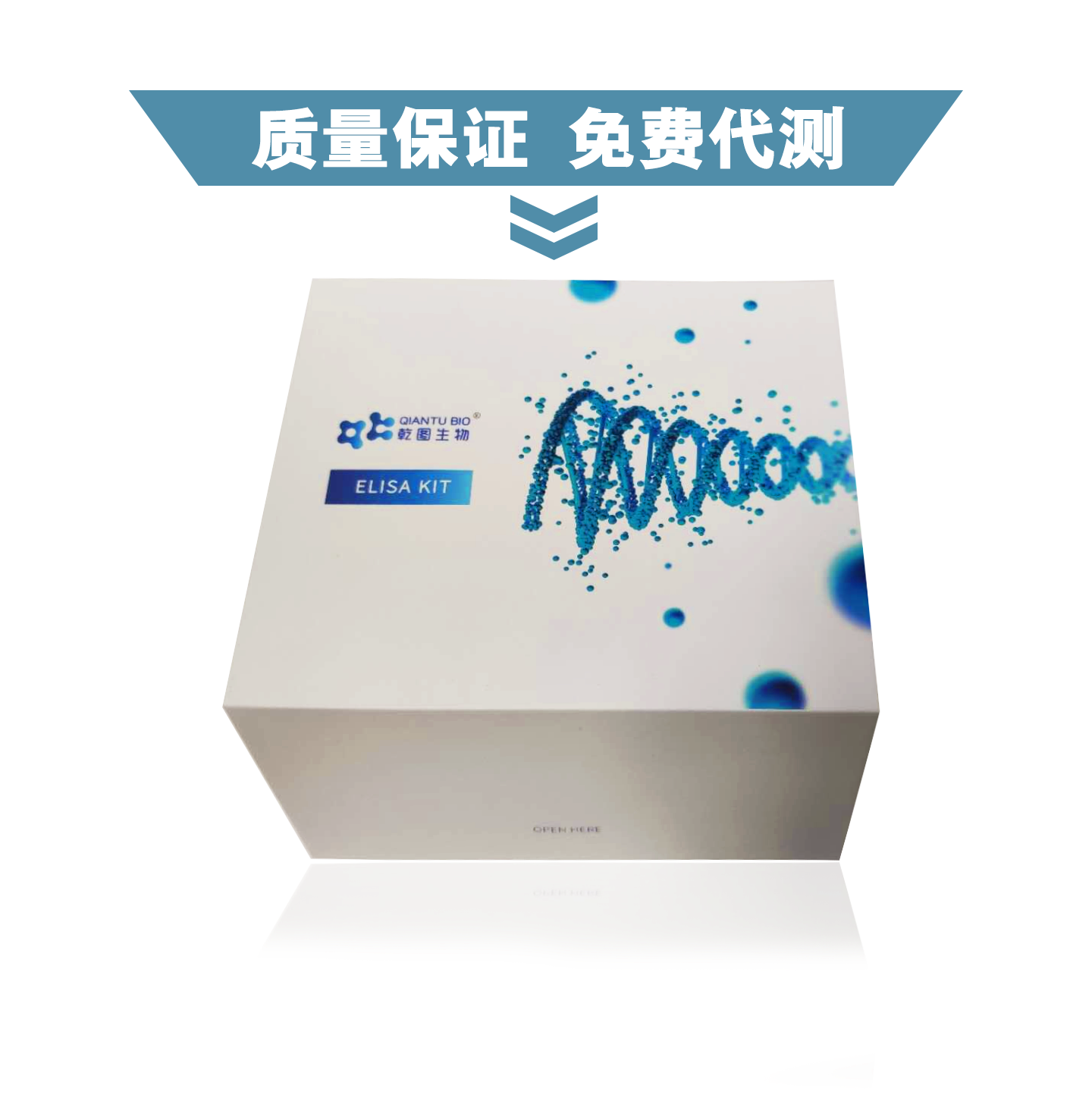 QTE20697	 小鼠脂氧素A4(LXA4)ELISA试剂盒供应试剂盒