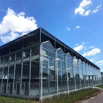 薄膜溫室連棟薄膜溫室蔬菜薄膜溫室廠家
