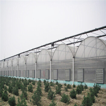 連棟薄膜溫室定制承建連棟薄膜溫室工程