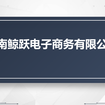 跨境电商立站创业孵化