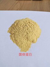 菌体蛋白图片