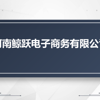 河南鲸跃跨境电商立站项目