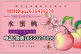 江苏无锡水蜜桃桃卡提货系统在线全国扫码下单提货卡