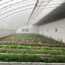 山东温室大棚、蔬菜大棚、日光温室建设生产安装一体