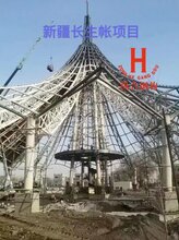 制作加工各种空间钢结构管桁架及造型管桁架结构图片
