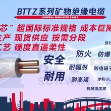 WDZB1-YJY电缆制造图片
