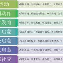 幼少儿网课外教,纯美老师在线教学。图片