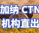 非洲清关证书非洲清关认证非洲加纳CTN办理