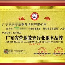 中国自主创新企业荣誉证书