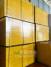 广西建筑模板天启木业用过都说好周转次数高大量供应