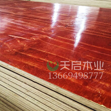 广西贵港建筑模板真材实料专业生产天启木业