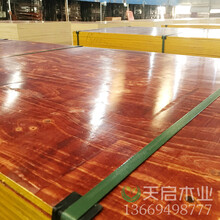 广西建筑模板-模板出厂价-模板厂家实力强-天启木业