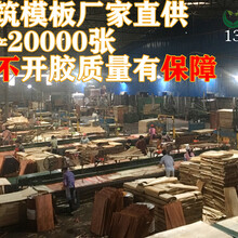 广西贵港建筑模板-供应工程高层建筑木模板-覆膜板批发价