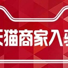 北京网店代入驻商标注册天猫代运营一站式服务
