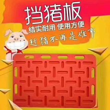 猪客高密度挡猪板赶猪板厂家批发招代理挡猪板图片